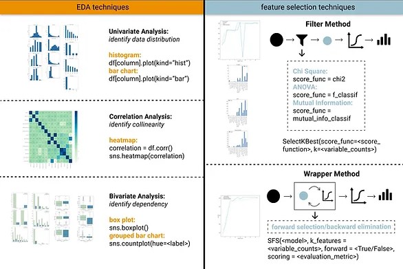 Exploratory Data Analysis Techniques