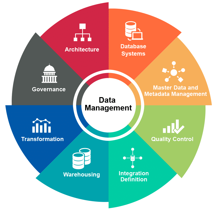 Data Management Key Roles