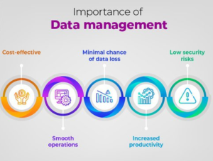 Importance-of-Data-Management Experts