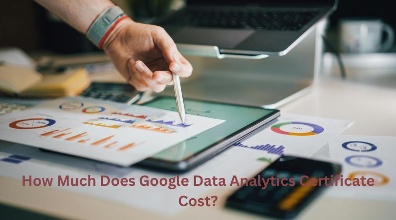 How Much Does Google Data Analytics Certificate Cost